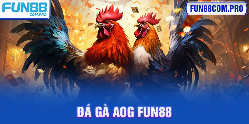 Sảnh Đá Gà AOG Fun88 - Sảnh Đá Gà Xanh Chín Nhất Châu Á